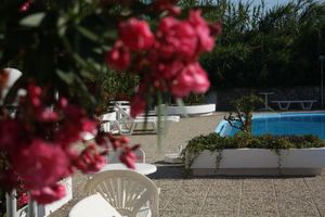 Alojamiento - Albatross Hotel