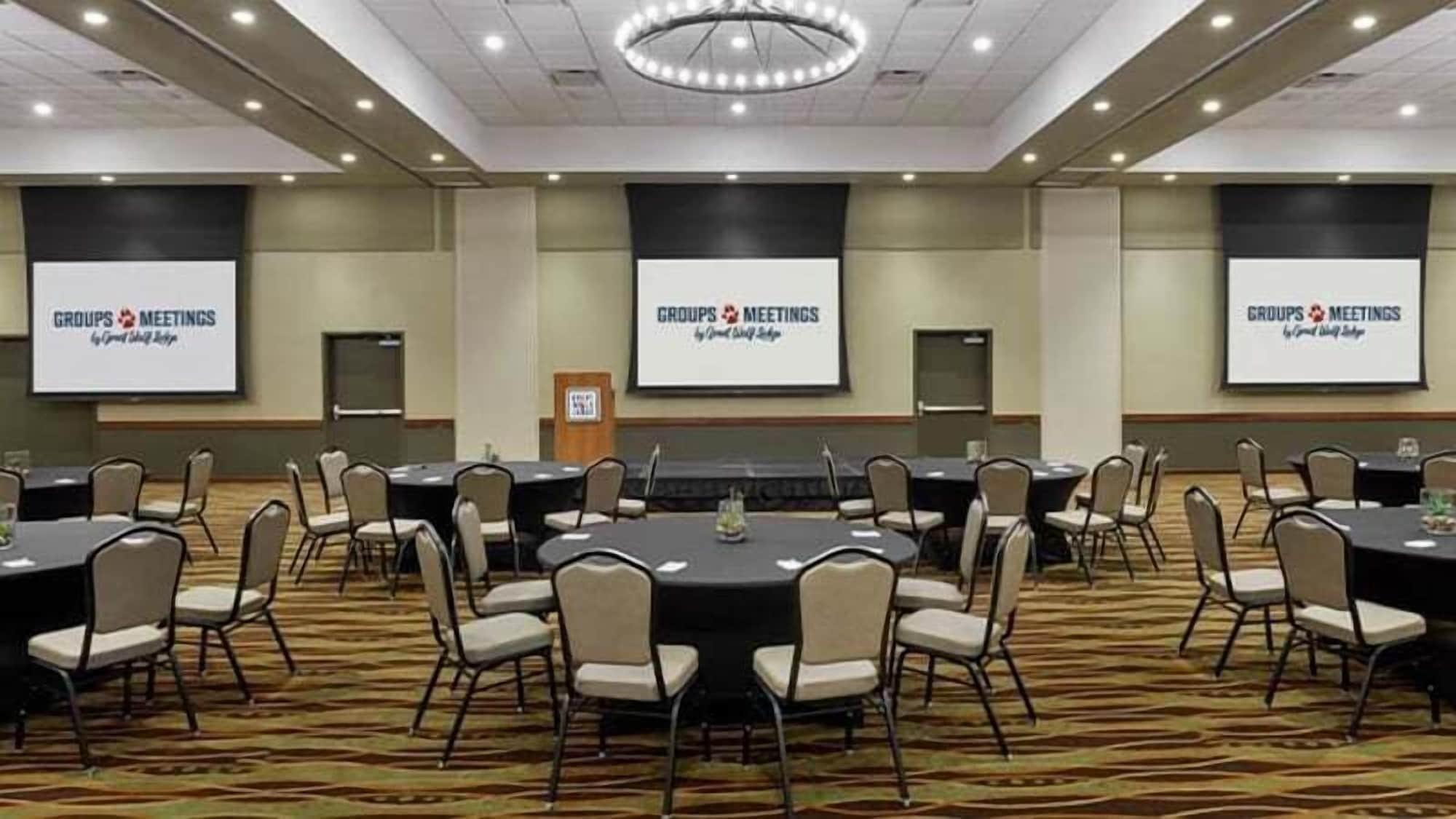 Sala de Reuniones Great Wolf Lodge Webster
