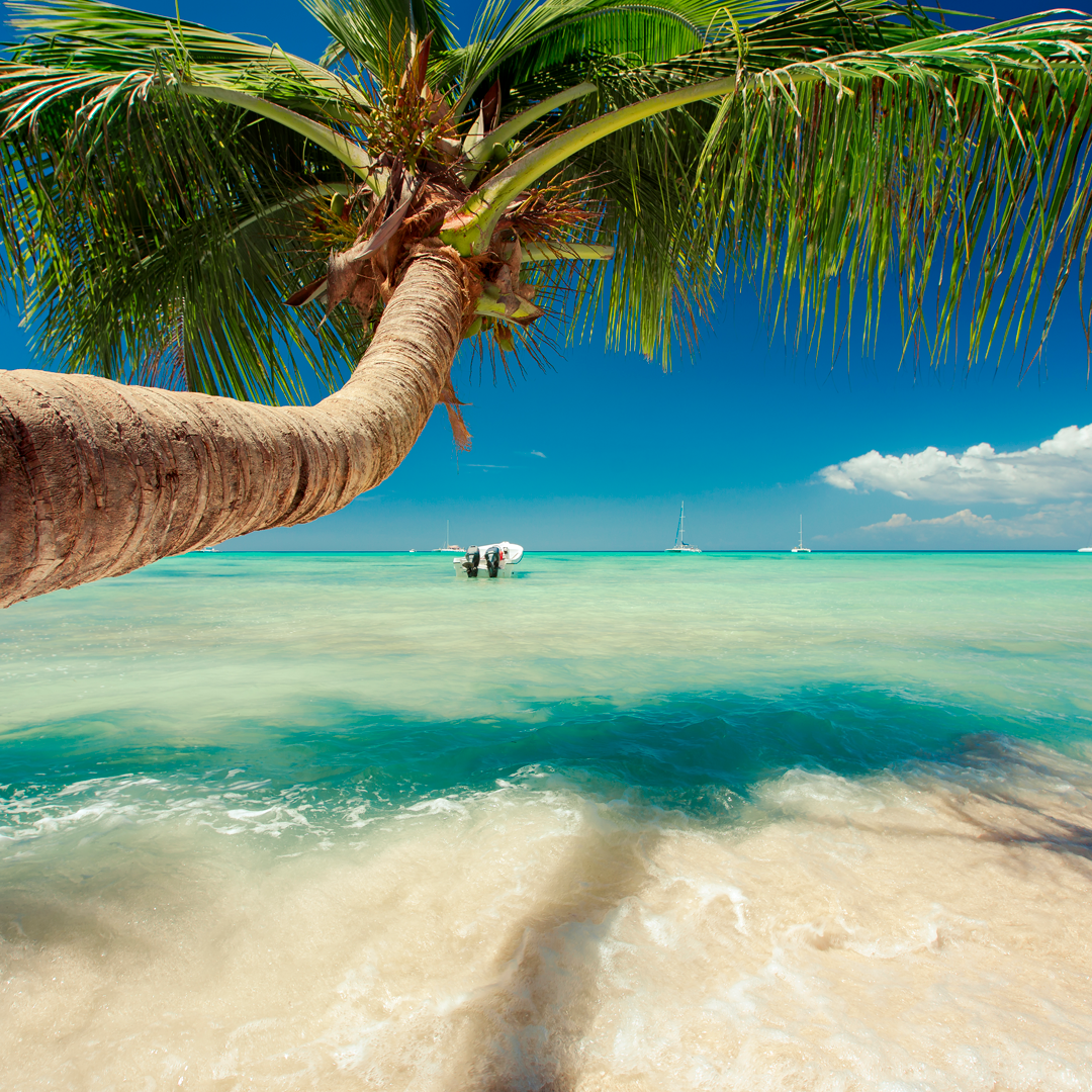 Punta Cana