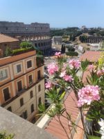 Alquiler Vacacional - SUPERACTIC APARTMENT WITH SPLENDID TERRACE ON THE COLOSSEUM, BREATHTAKING VIEW