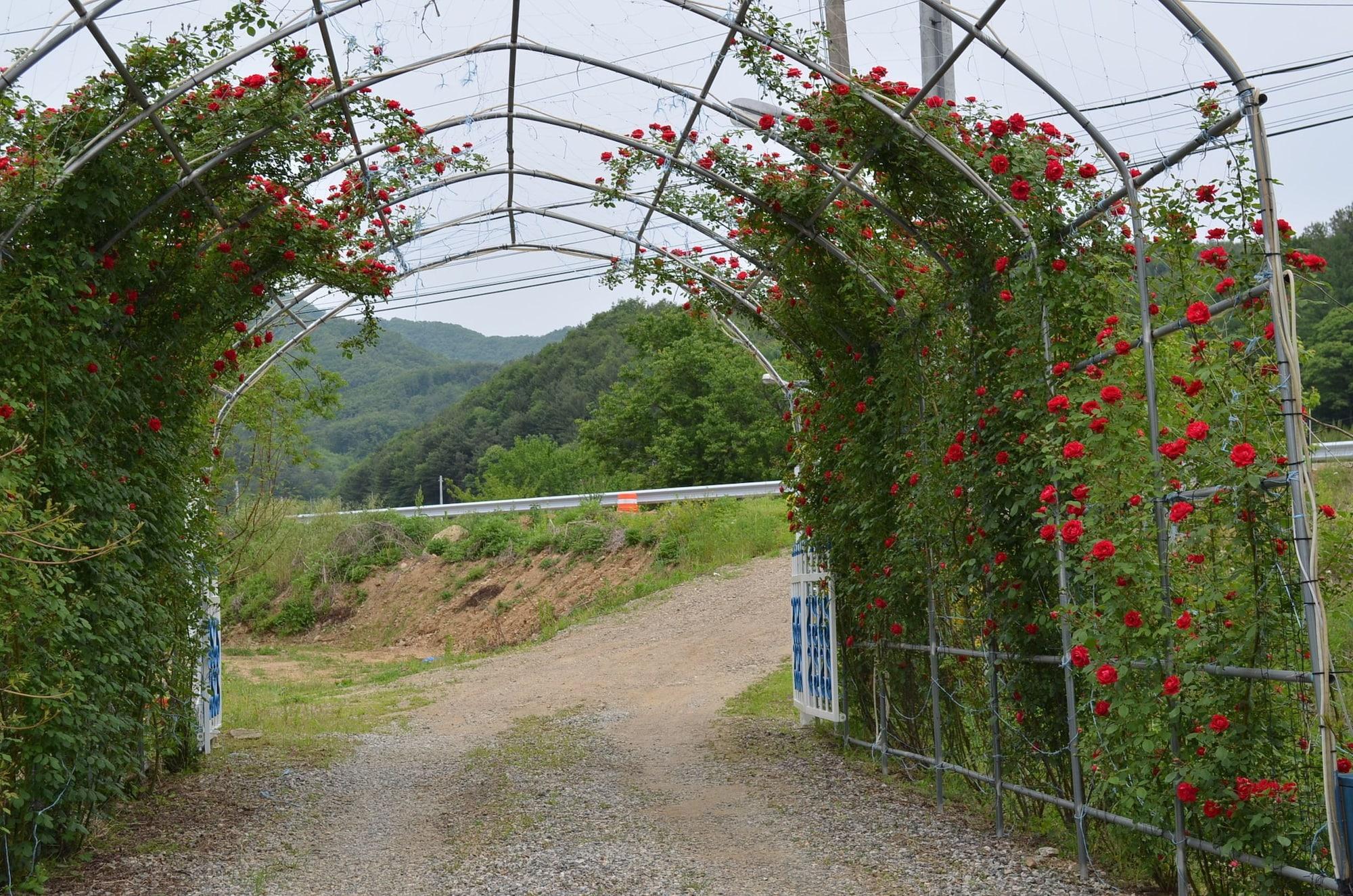 Comodidades del Alojamiento Pension Cafe Yoon & Park