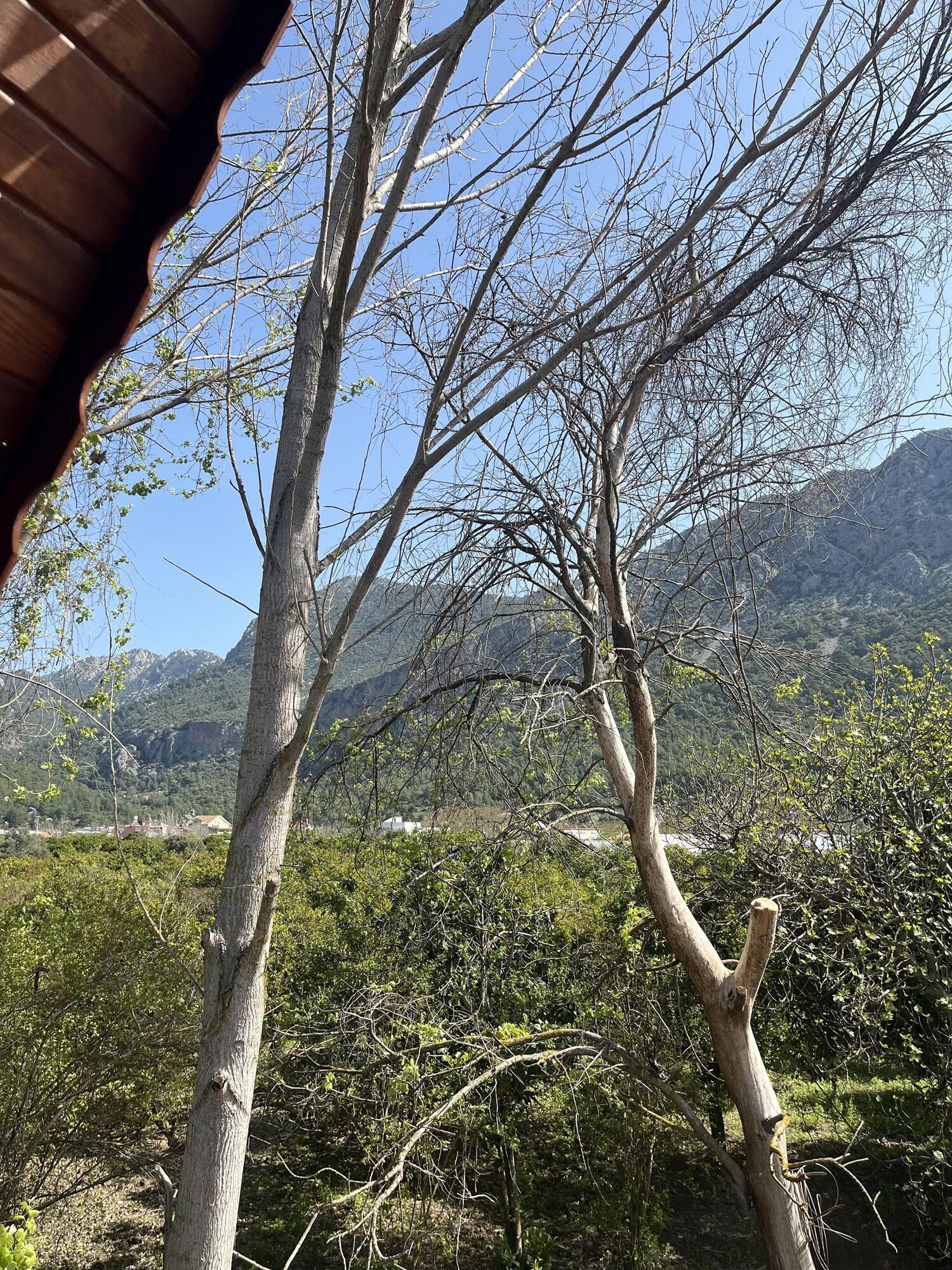 Vista Exterior Adrasan Twin Aparts