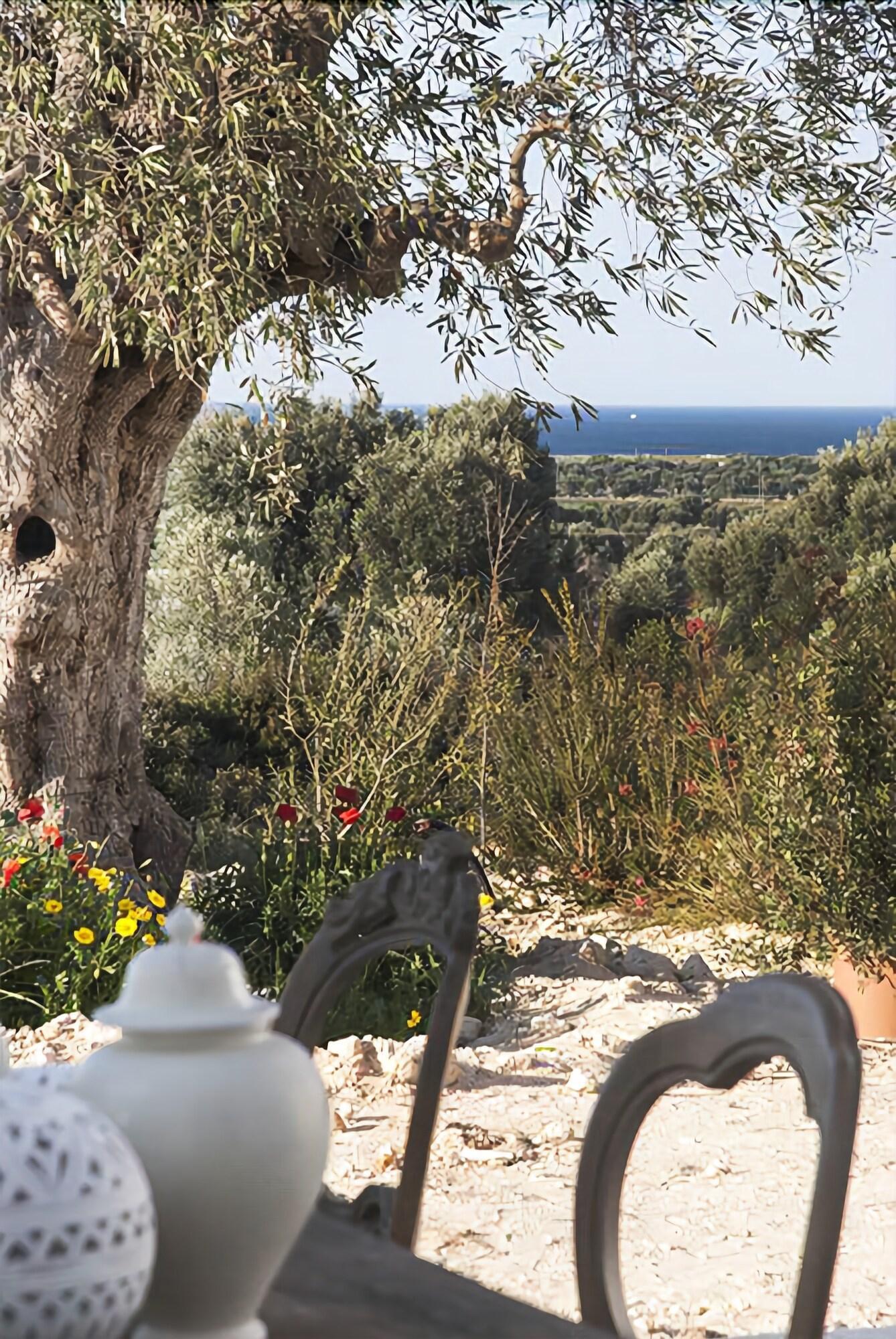 Vista Exterior Masseria San Francesco