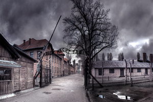 Actividad - Visita guiada a Auschwitz-Birkenau y la mina de sal de Wieliczka con traslados y recogida opcionales