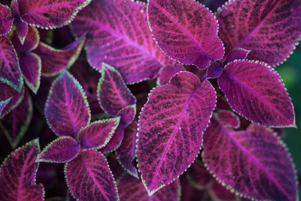 Hotel Arcobaleno Boutique Hotel