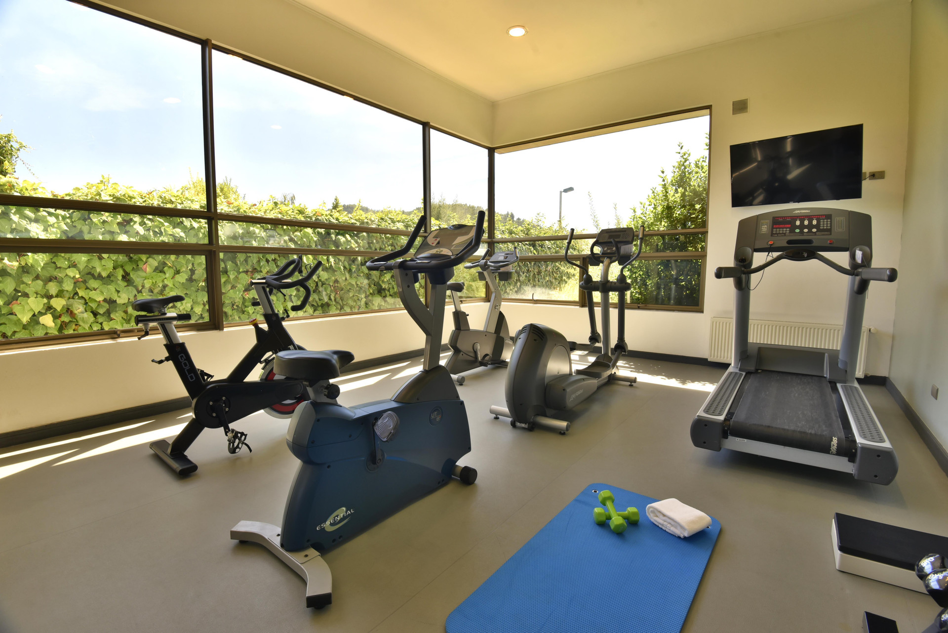Academia Holiday Inn Express Temuco by IHG