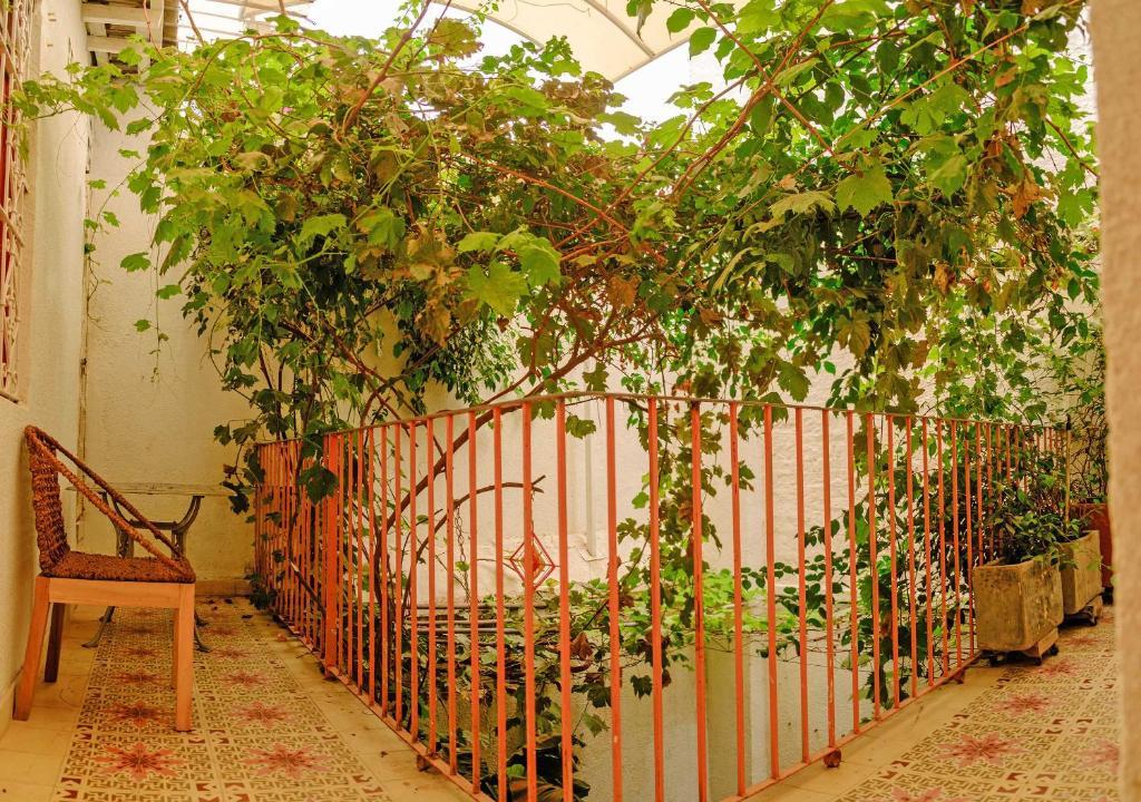 Balcón, patio o terraza CASA ROSA - ALMA HOTELS
