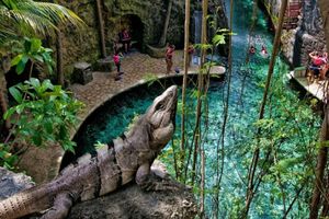 Actividad - Tour a Xcaret Plus desde Cancún