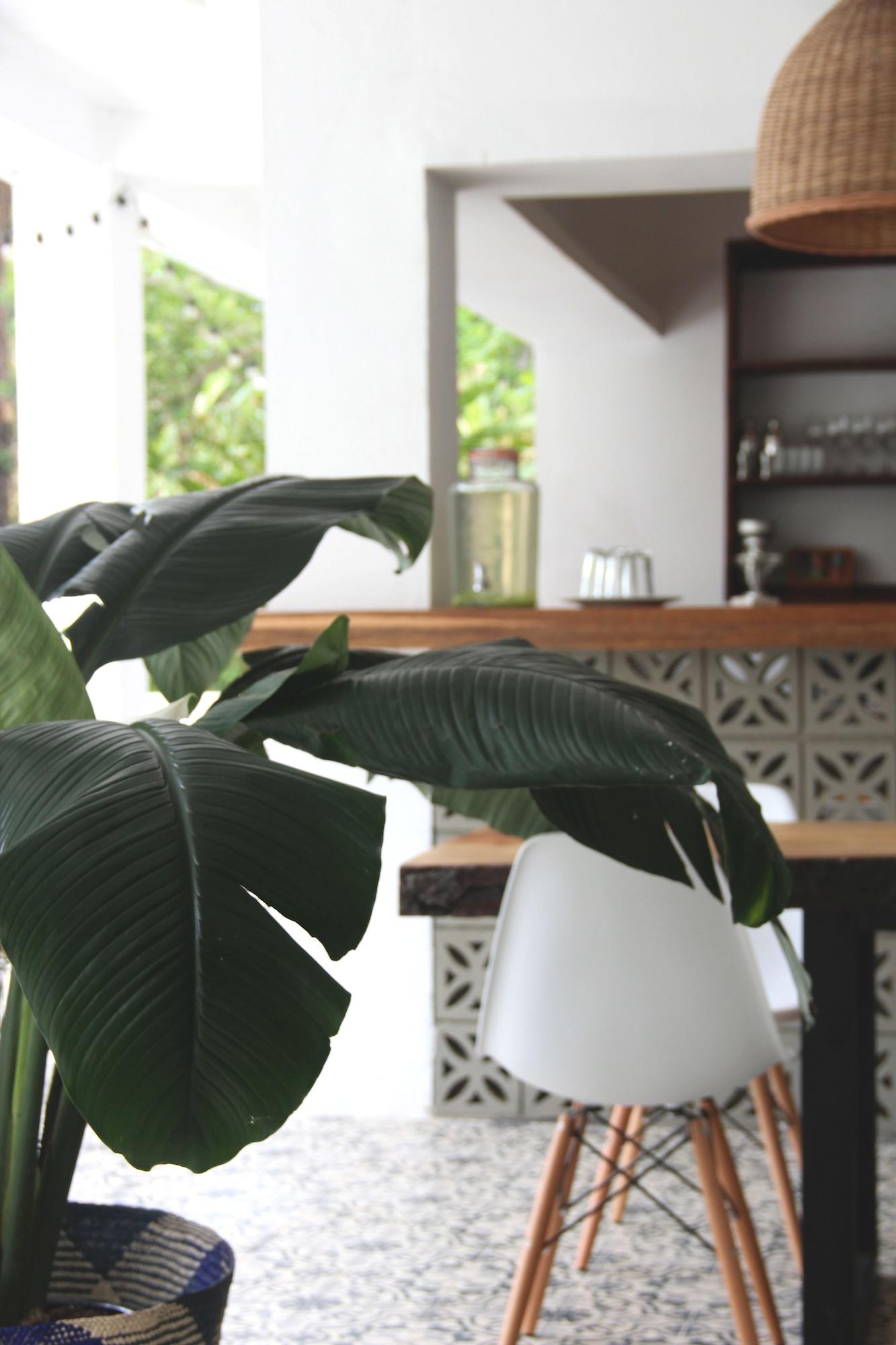 Vista Lobby Casa del Pavo Real Boutique Hotel