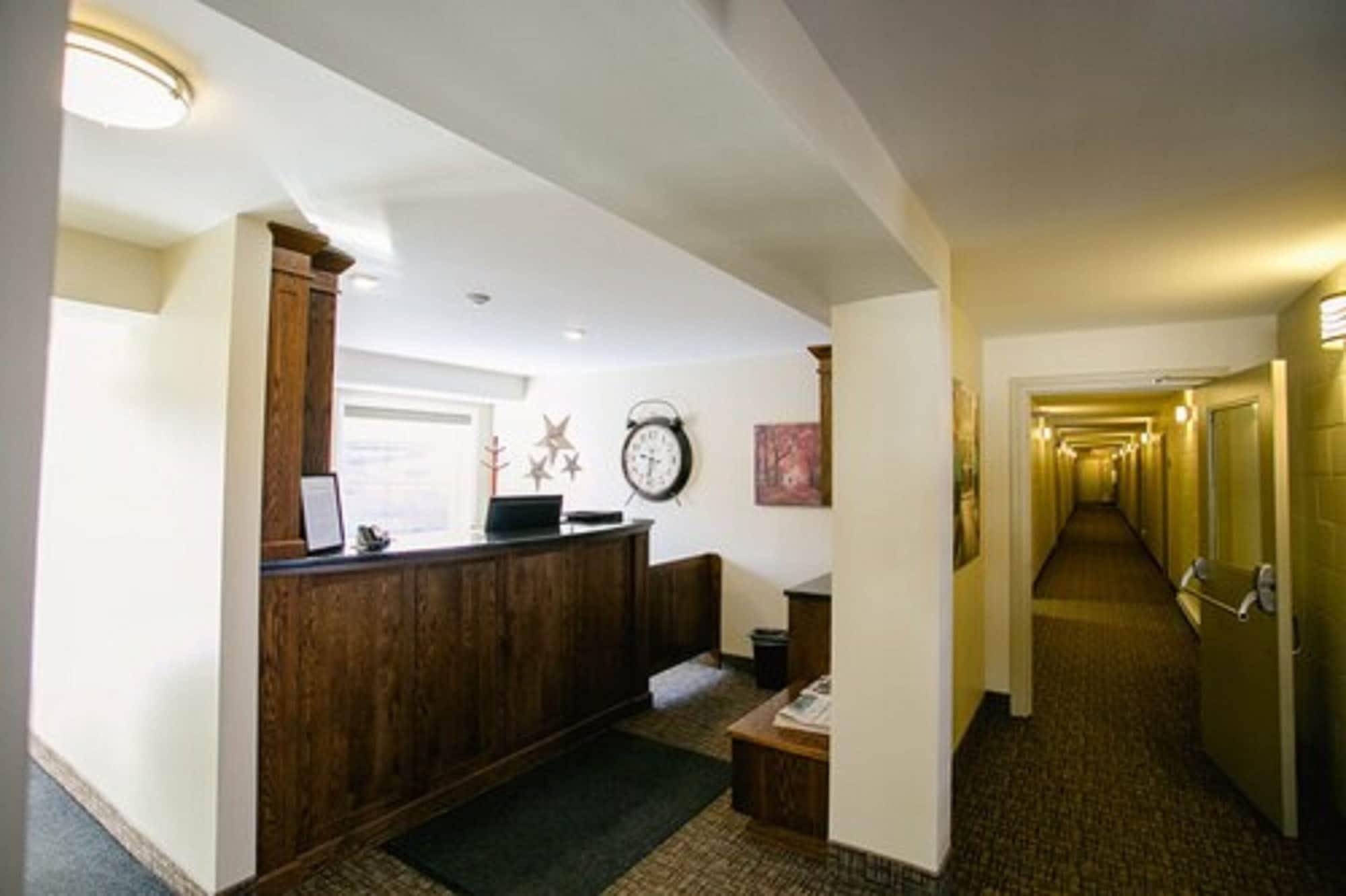 Vista Lobby The Sleepy Owl