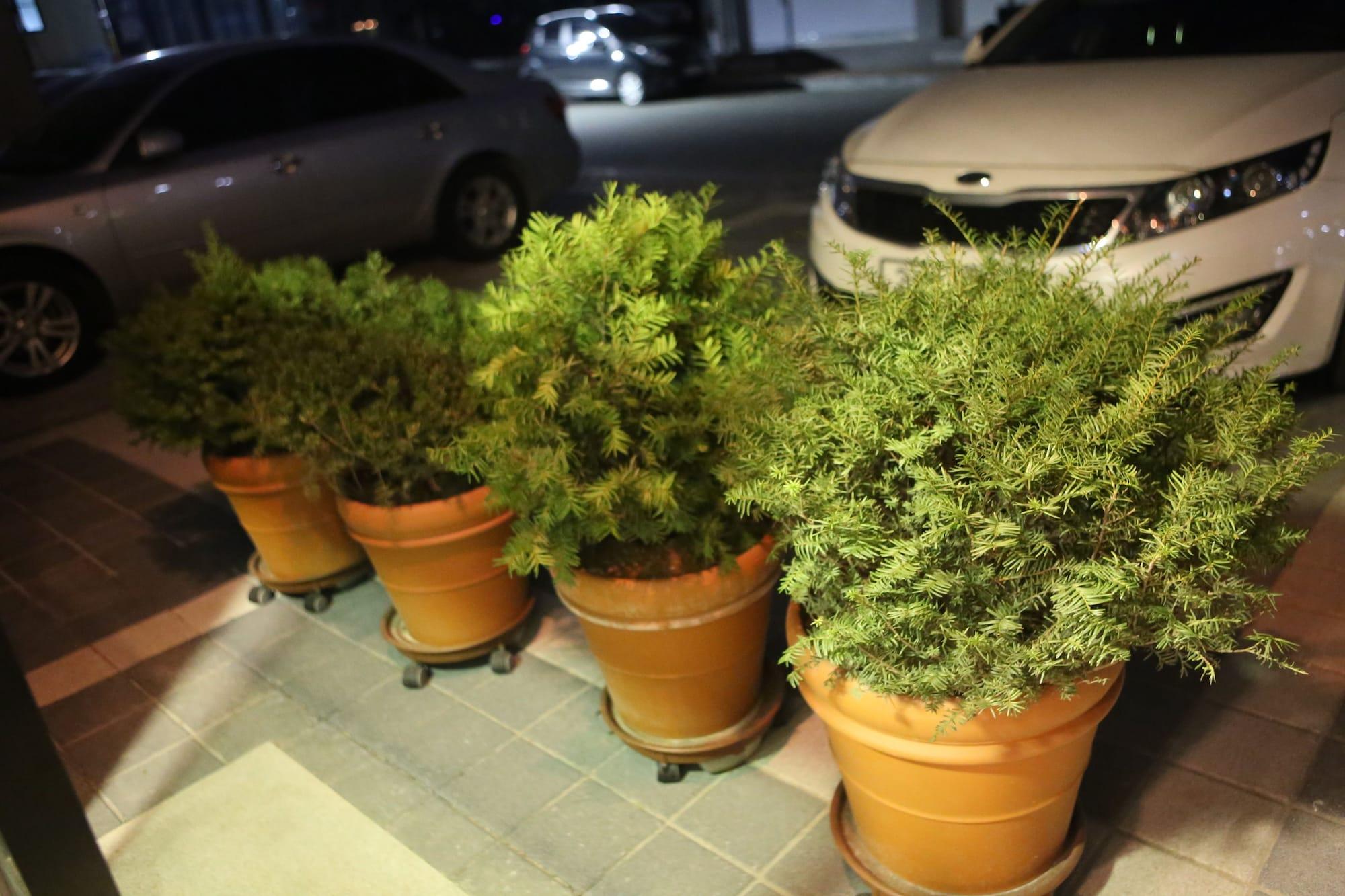 Vista Lobby Welcome House