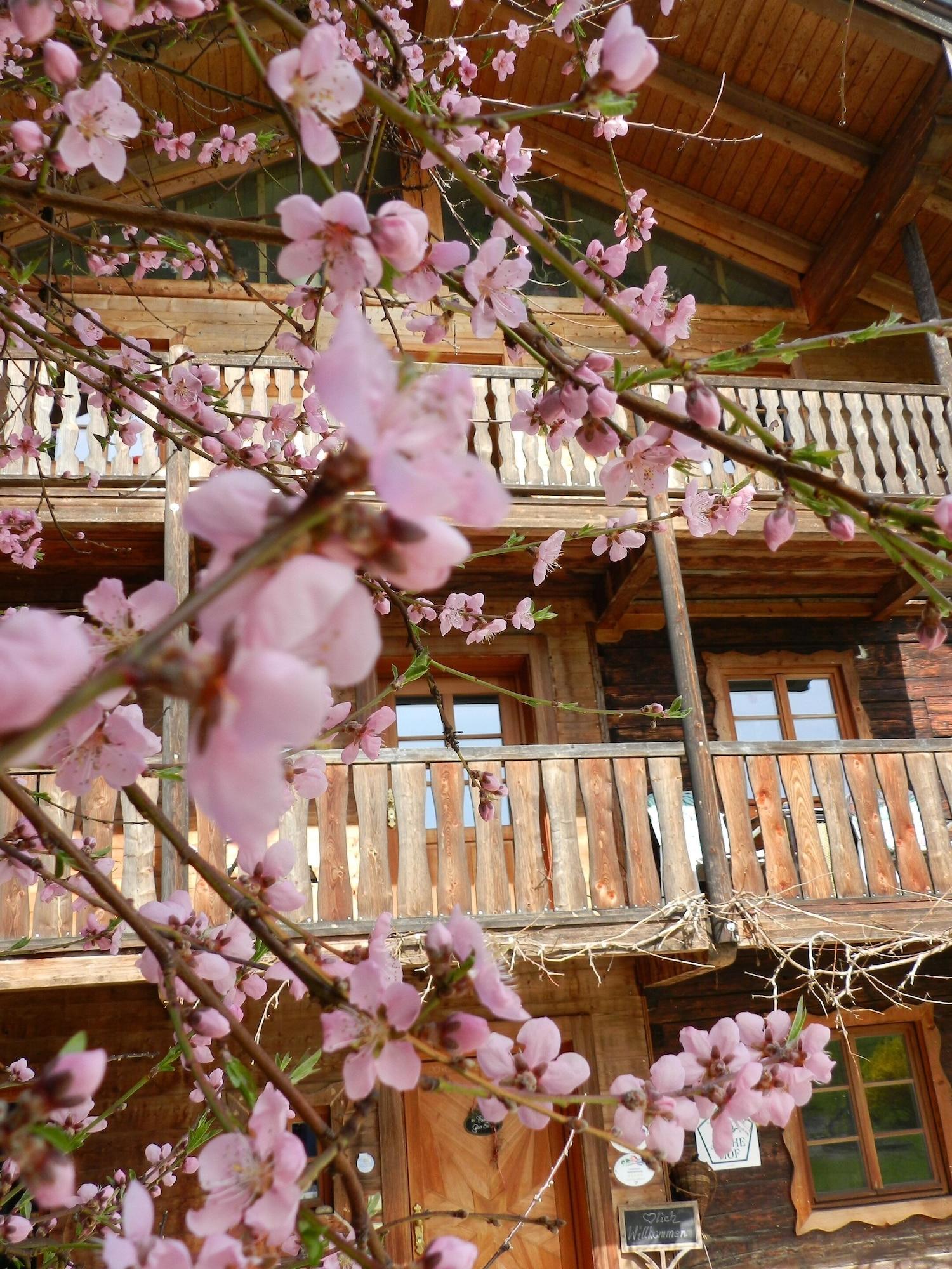 Vista Exterior Wampendobler Paradies