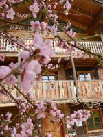 Alojamiento - Wampendobler Paradies