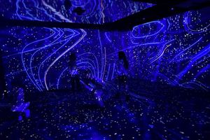 Actividad - Oceanario de Lisboa - Entrada