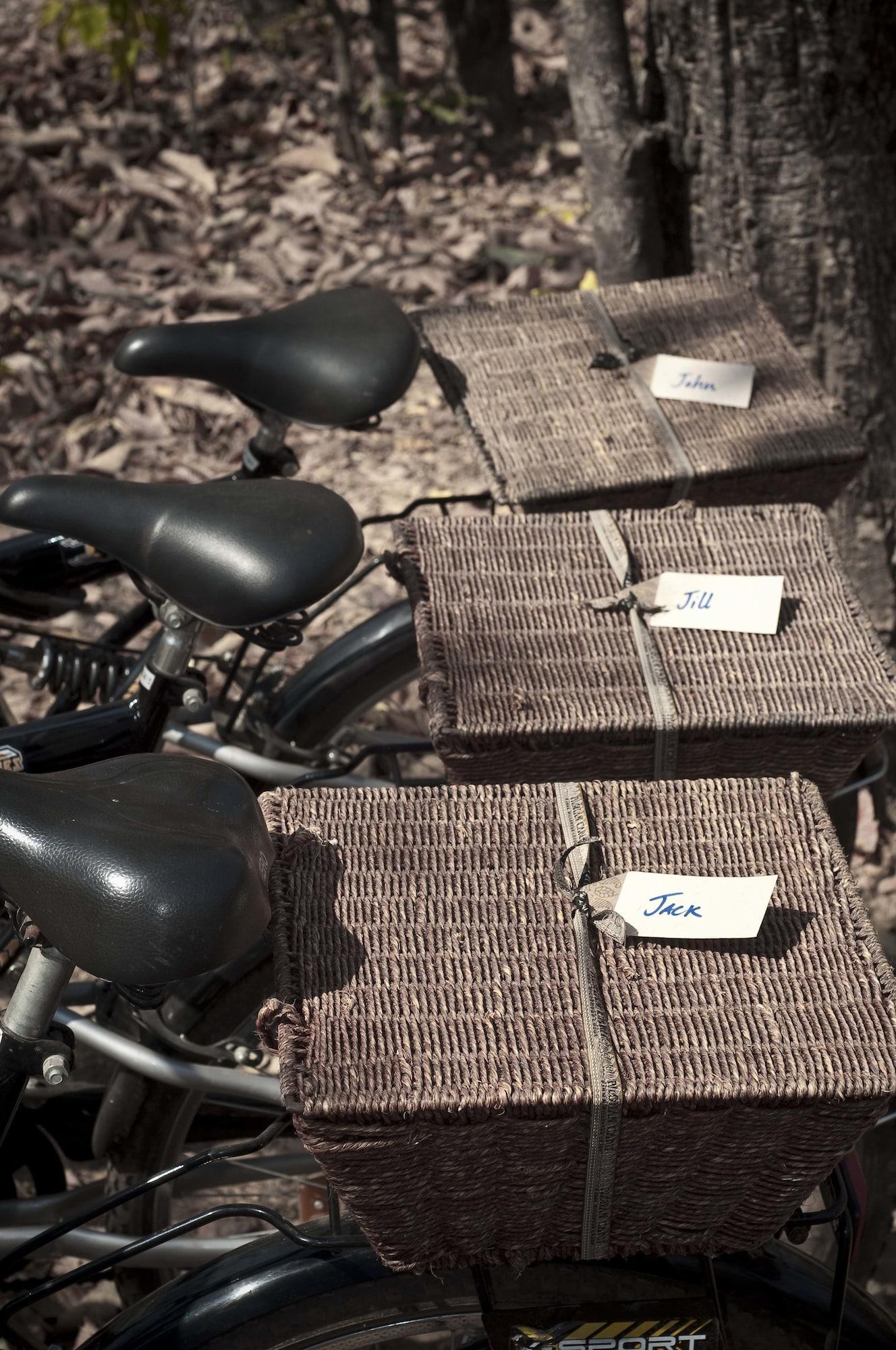 Gimnasio Pashan Garh, Panna National Park