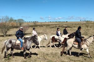 Actividad - CABALGATA POR CAMPO Y LAGUNA