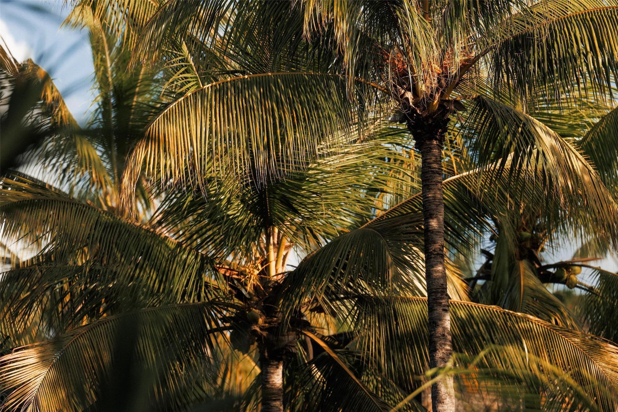 Vista Exterior One&Only Le Saint Géran