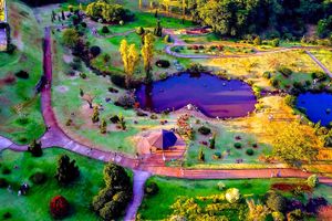 Passagem - Voos para Maringá