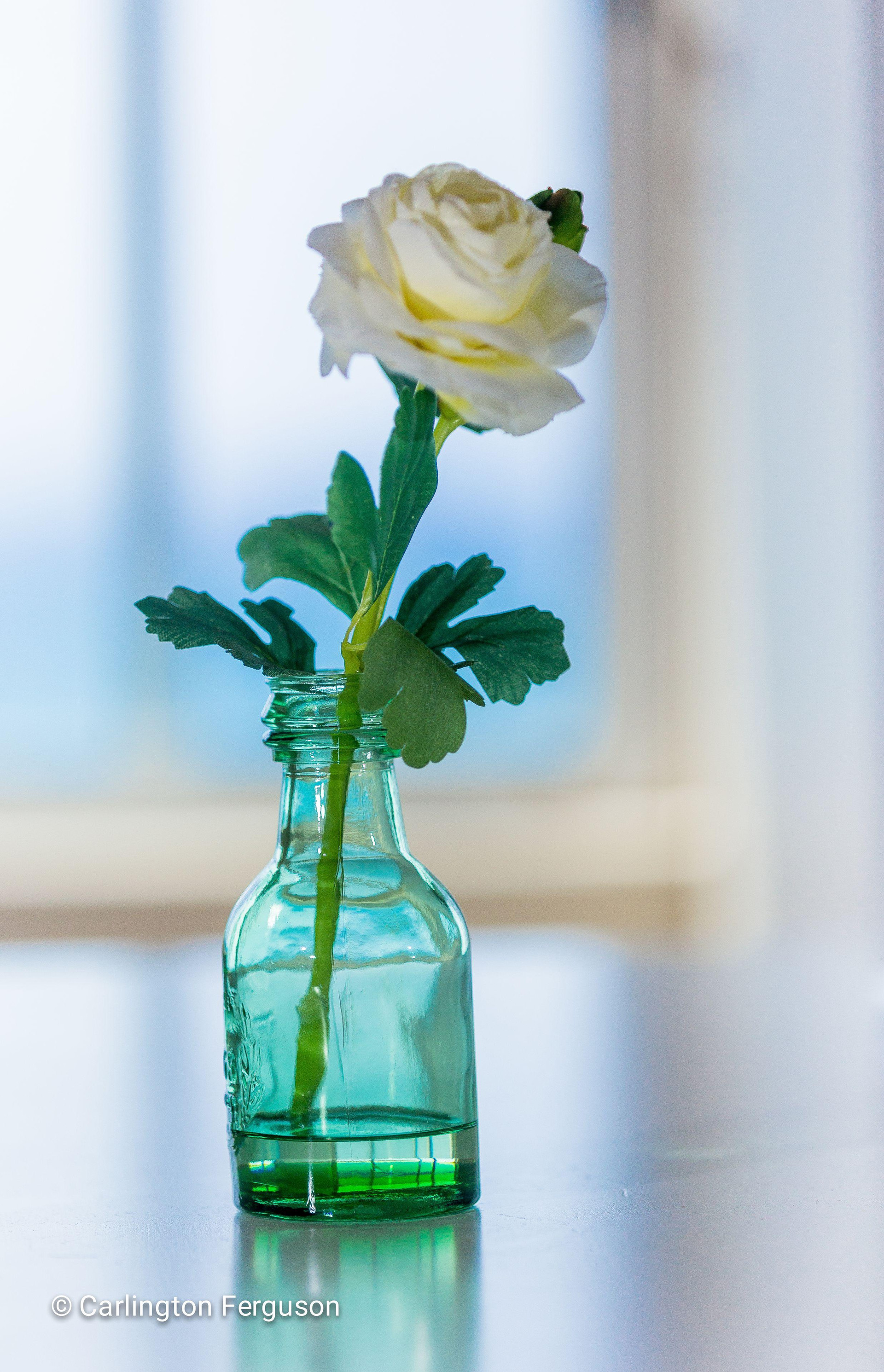 Comodidades del Alojamiento Serenity By The Sea 211B - Turtle Towers