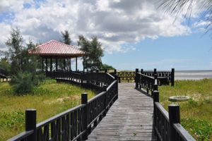 Alojamiento - Golden Peacock Resort Hotel