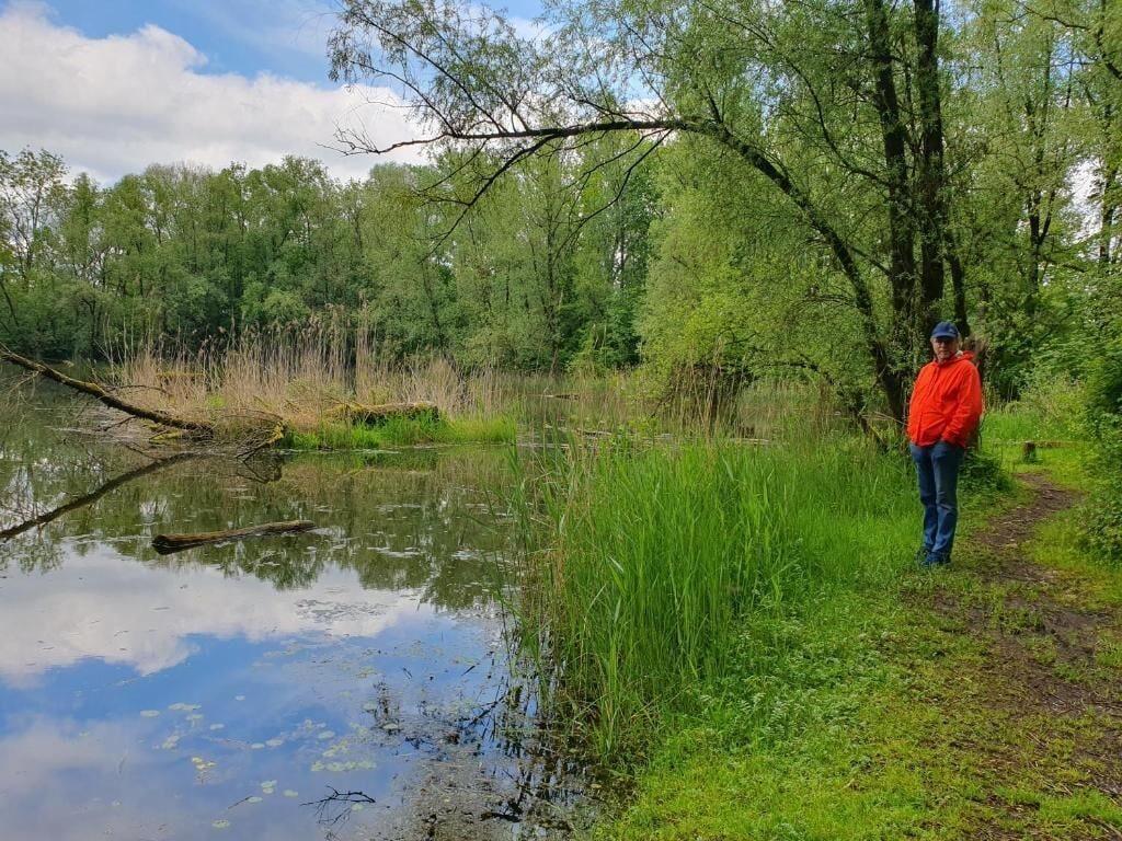 Varios ArmoniaHomes Helene Hohenems 4 BDR house