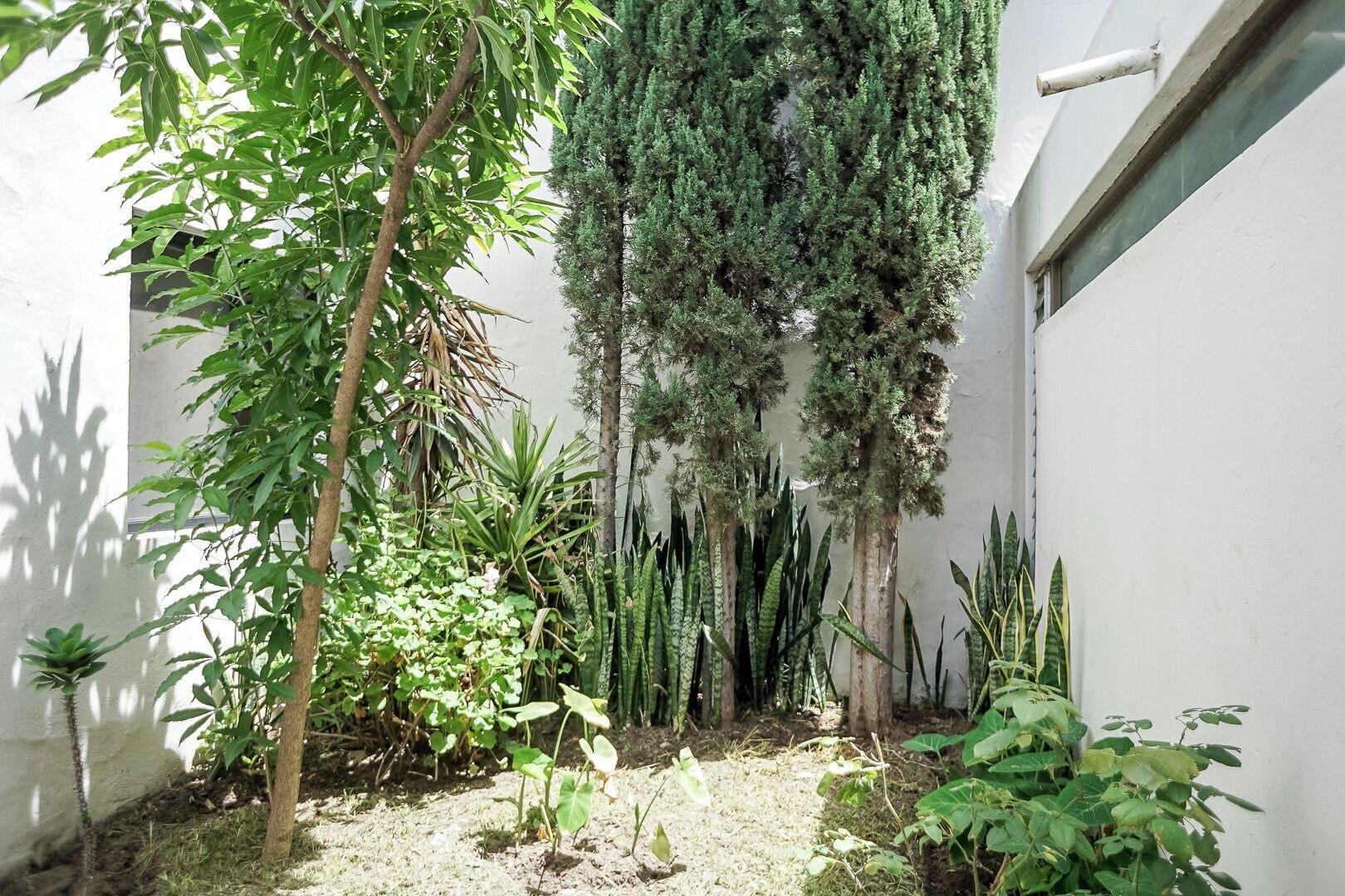 Comodidades del Alojamiento Casa Morelos