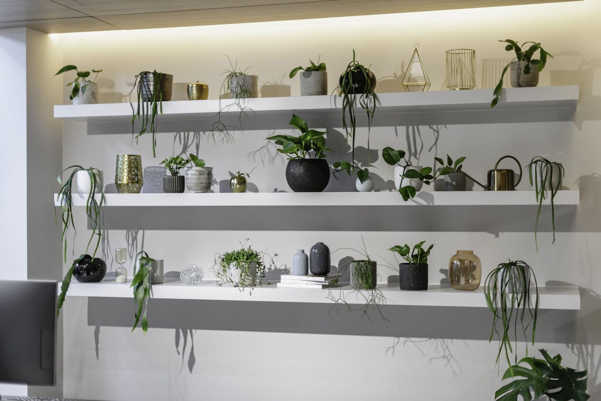 Vista Lobby Brady Hotels Jones Lane