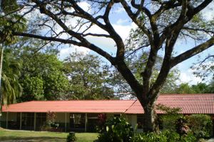 Alquiler Vacacional - Finca Turística Canaima