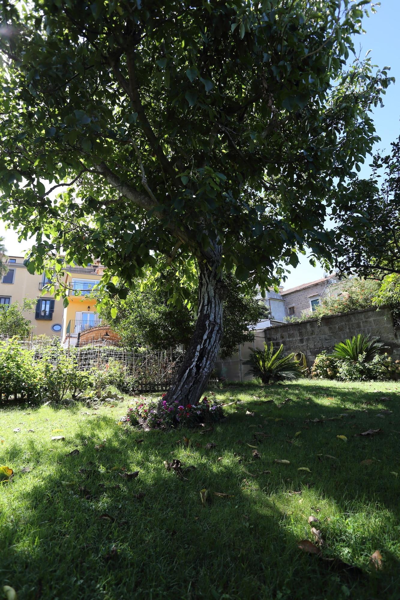 Vista Exterior Ambrosio Relais