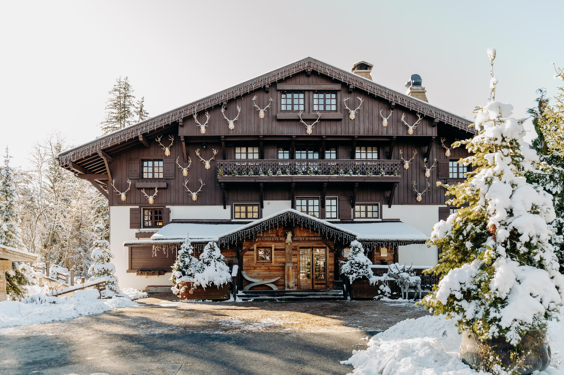 Vista Exterior Les Chalets Du Mont D’arbois