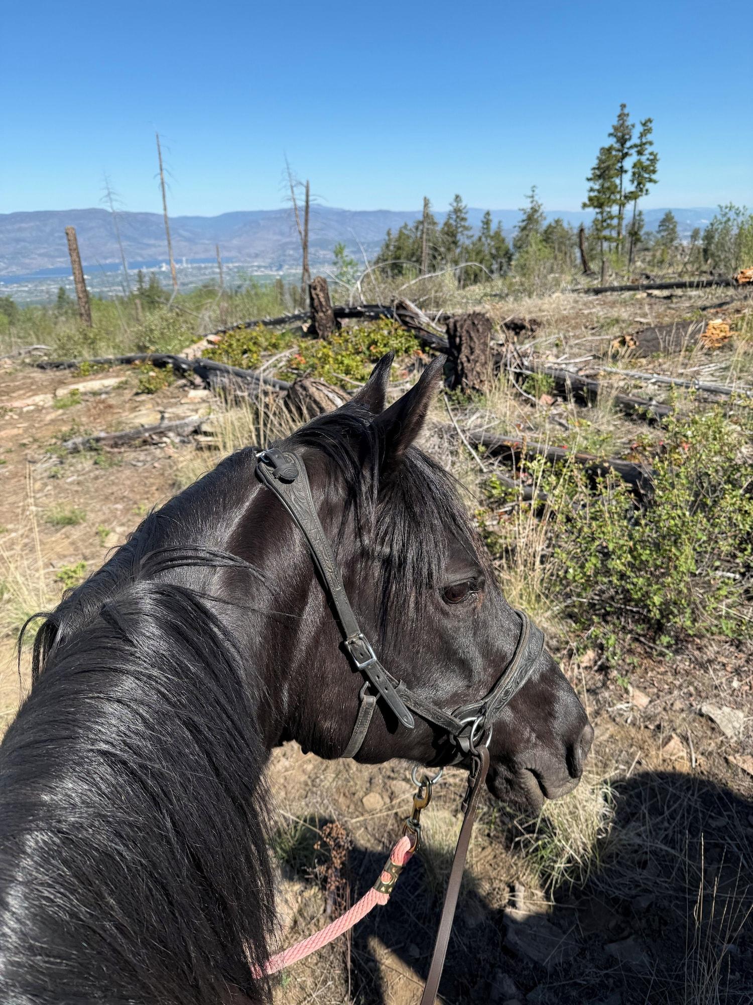 Instalaciones Recreativas Myra Canyon Lodge + Ranch