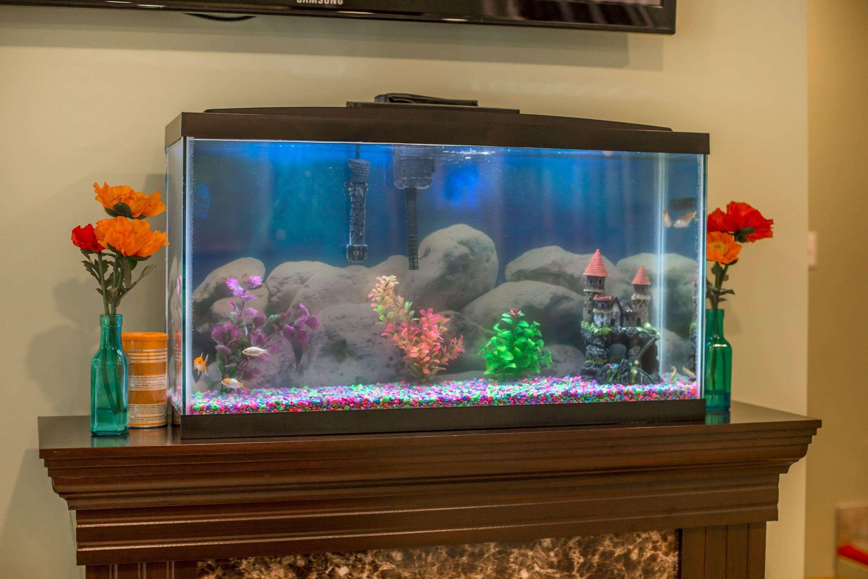 Vista Lobby Econo Lodge Manchester Area