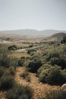 Alojamiento - 7 Valles