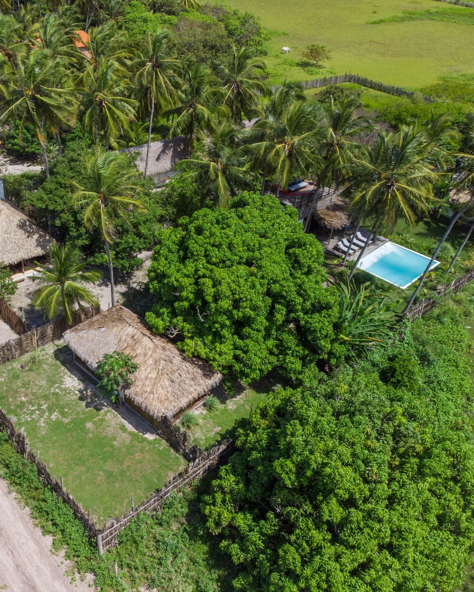 Vista Exterior Vila do Junco