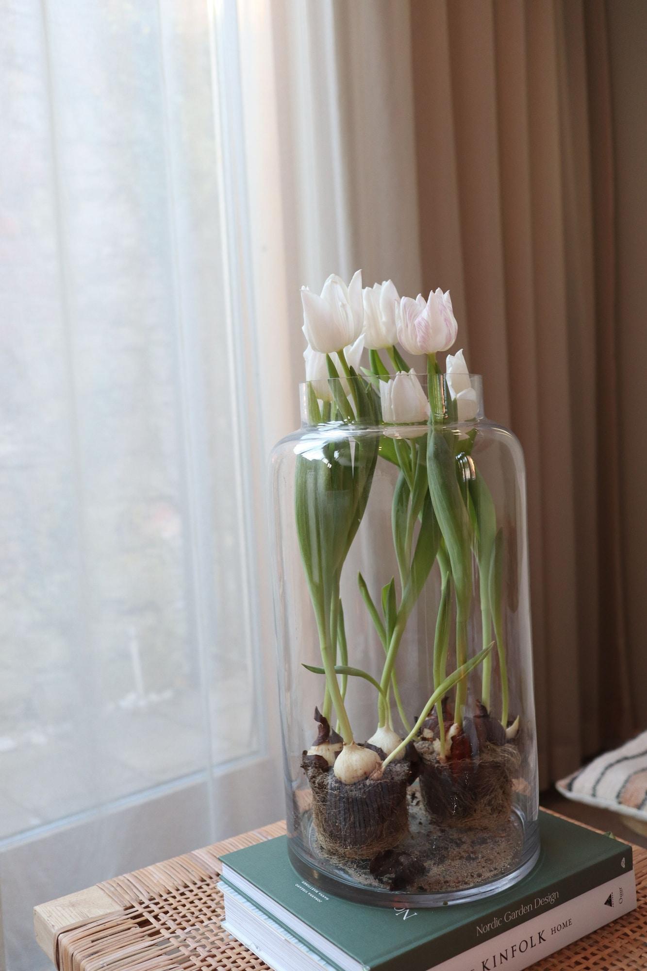 Vista Lobby Kalk Hotel