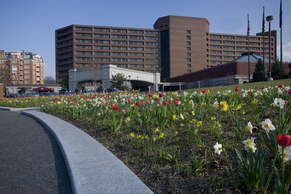 Vista Exterior Washington Marriott Wardman Park