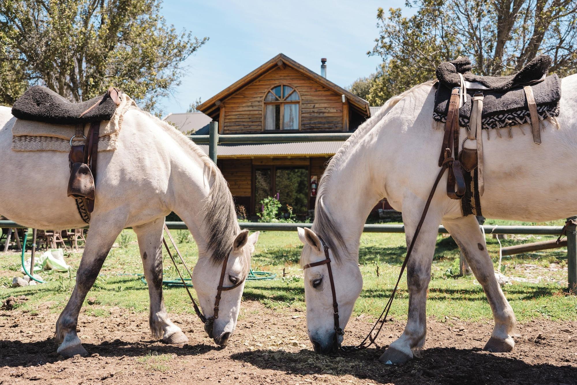 Instalaciones Recreativas Estancia Peuma Hue