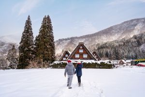 Actividad - Shirakawago y Kanazawa desde Kyoto
