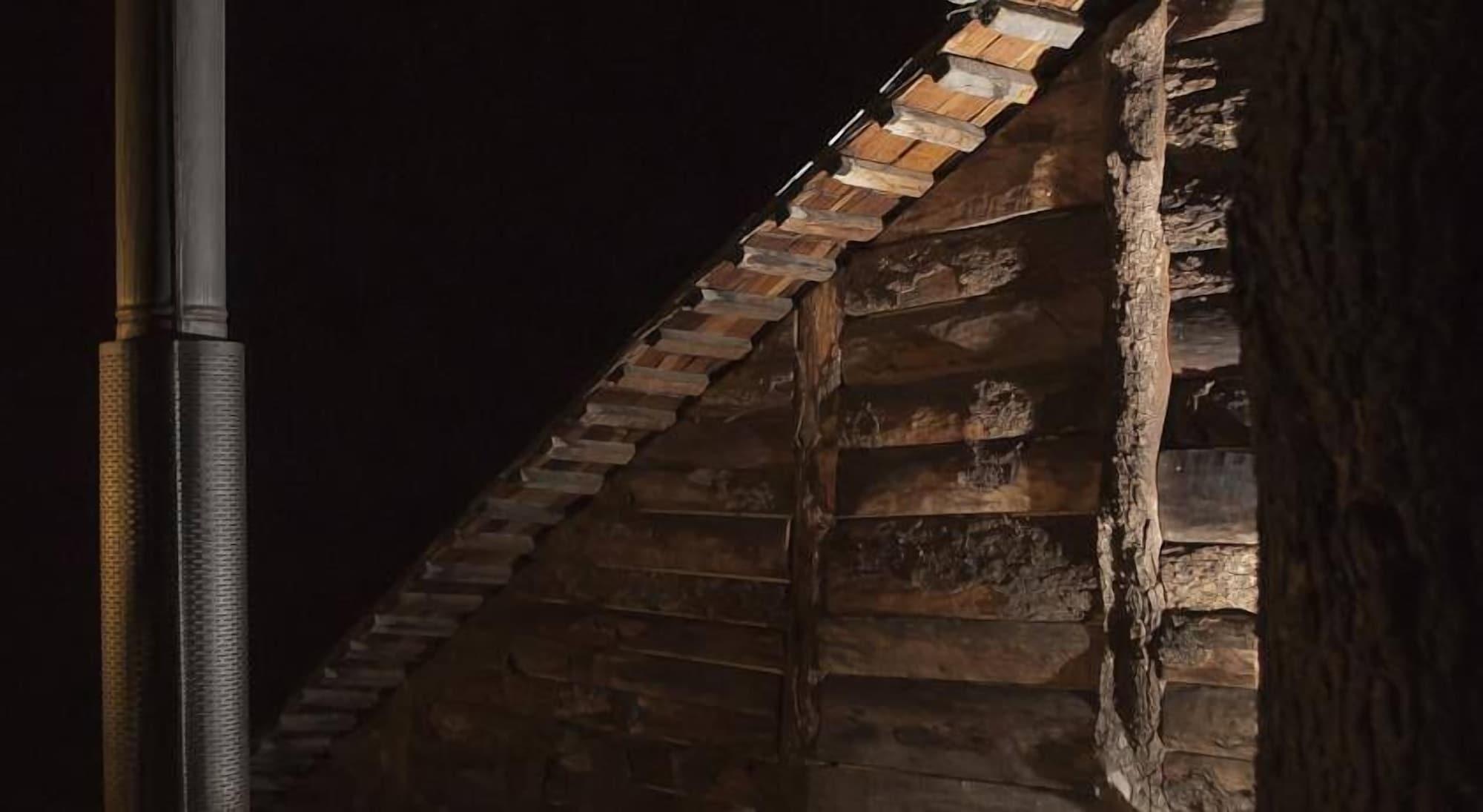 Varios Cabaña y Hostal Salamandras