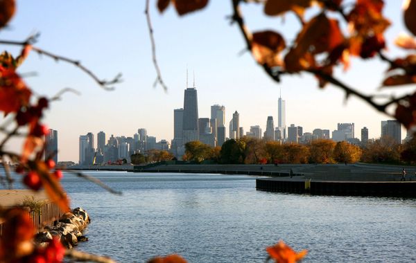 Warwick Allerton - Chicago