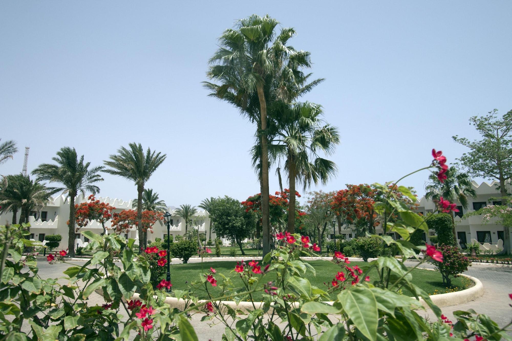 Habitación Swiss Inn Resort Dahab