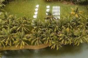 Alojamiento - Taj Green Cove Resort & Spa Kovalam