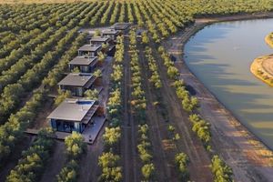 Alojamiento - Olijvenkraal Winelands Lodge