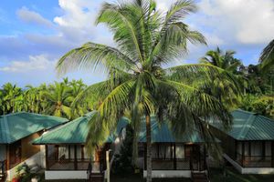 Alojamiento - Rainforest Resort