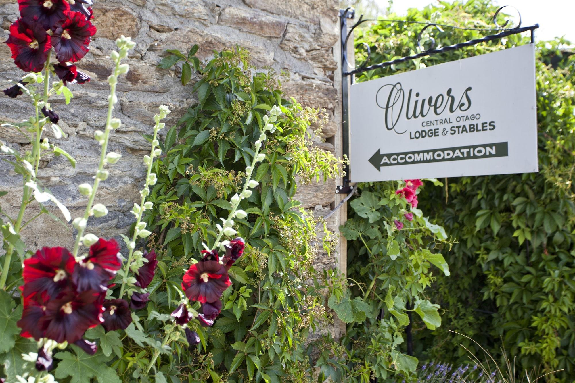 Vista Exterior Olivers Central Otago