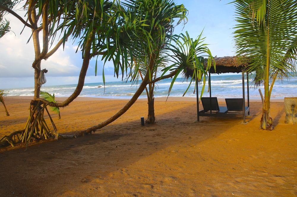 Playa Whispering Palms Hotel