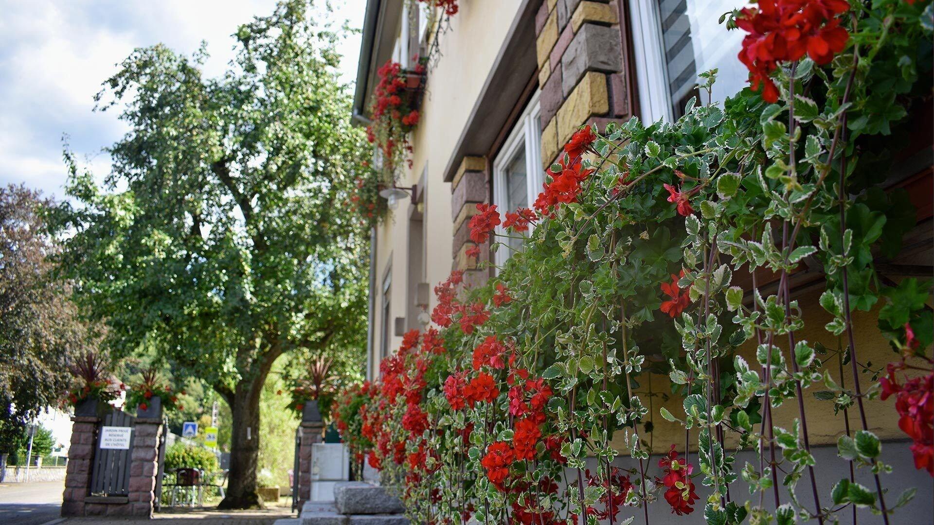 Bar/Salón Hotel Deybach