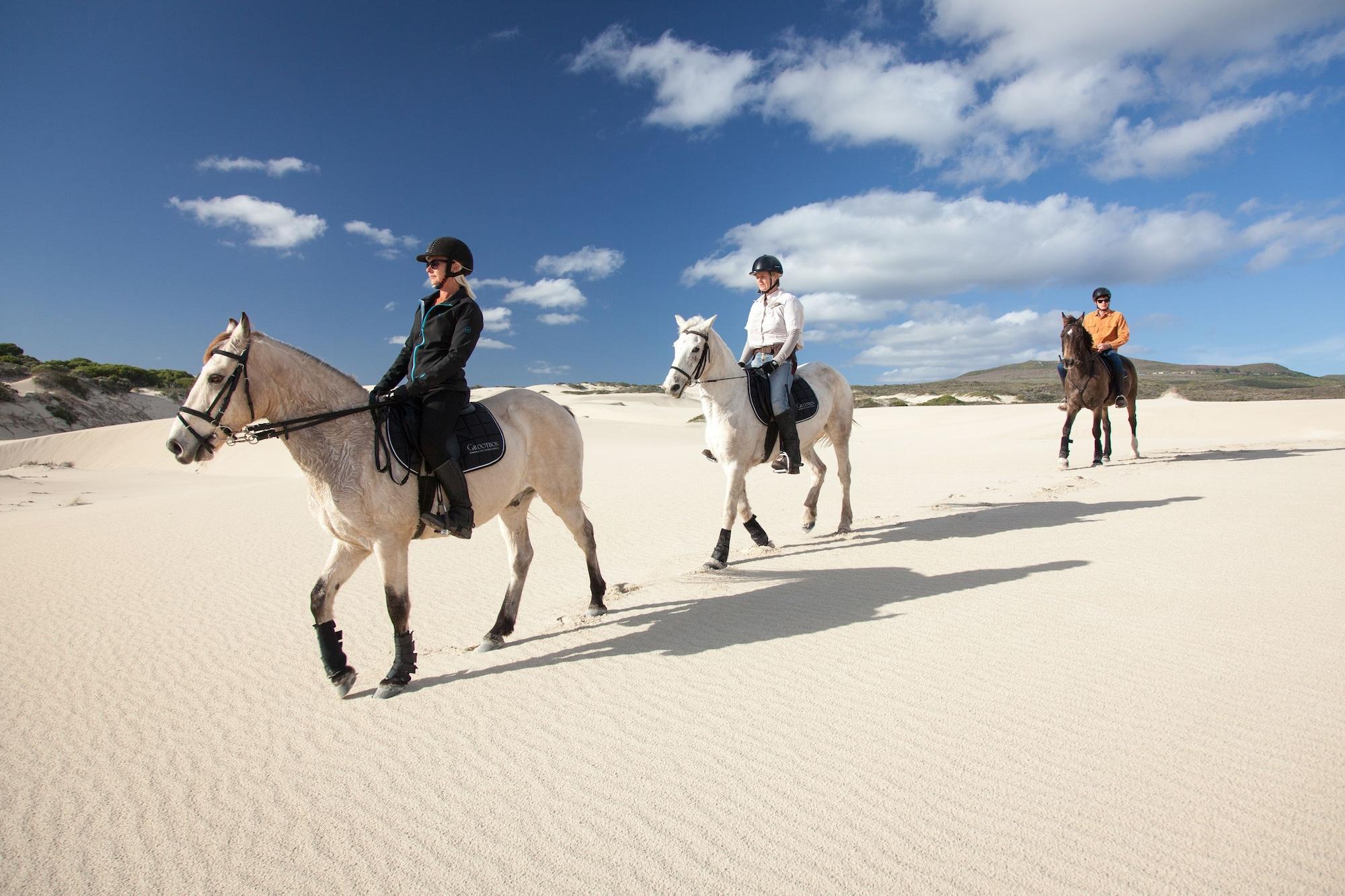 Gimnasio Grootbos Nature Reserve