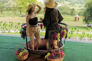 Actividad - BODEGA JOLIMONT - CINTA DE UVAS