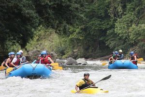 Actividad - White Water Rafting Reventazón River From Puerto Viejo de Talamanca (Limón)